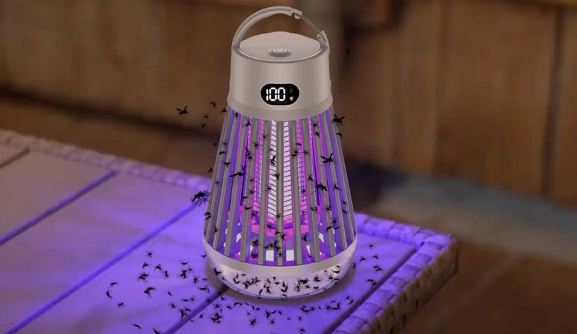 Holding Zappify 2.0